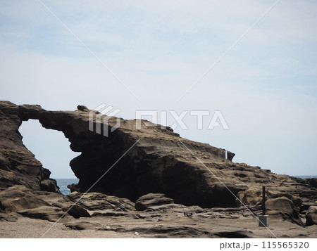 城ヶ島の「馬の背洞門」の風景 城ヶ島の「馬の背洞門」の風景 115565320