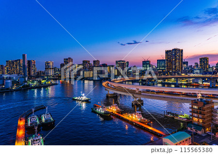 （東京都）レインボーブリッジ・南側遊歩道から眺める芝浦方面 115565380