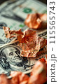 Close up of a crumpled dollar bill with a background that illustrates the issue of the financial crisis 115565743