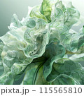 The metamorphosis of bioproducts in the future can be visually shown with spiral transparent 115565810
