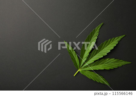 Cannabis leaf, marijuana leaf on black background Cannabis leaf, marijuana leaf on black background 115566146