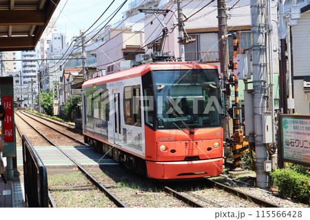 庚申塚駅付近を走行する都電荒川線の電車 庚申塚駅付近を走行する都電荒川線の電車 115566428