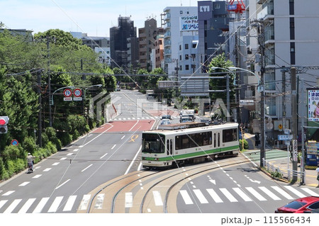 飛鳥山駅付近を走行する都電荒川線の電車 115566434