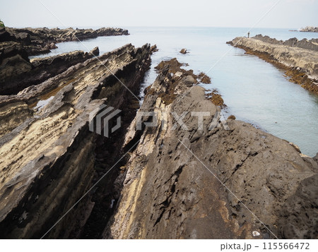 城ヶ島の岩場 115566472