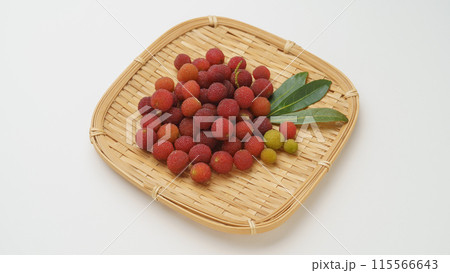 ヤマモモの実 115566643