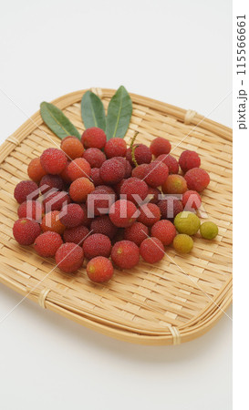 ヤマモモの実 115566661