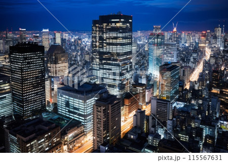 東京のネオンとビル群の夜景 115567631
