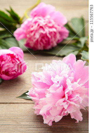 Pink peony flowers on grey wooden background. 115567763