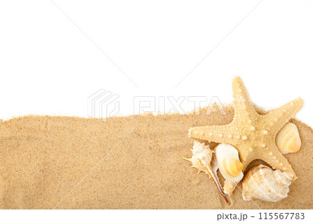 Seashells with sand isolated on a white background with copy space. Summer concept Seashells with sand isolated on a white background with copy space. Summer concept 115567783