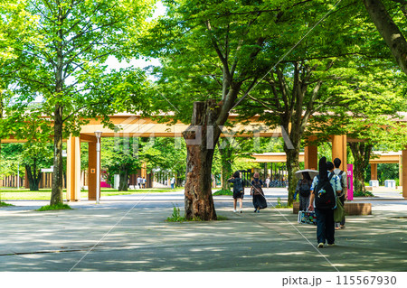 東京外国語大学　林の中の府中キャンパス 115567930