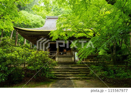 奈良県 新緑の室生寺 本堂 奈良県 新緑の室生寺 本堂 115567977