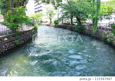 広瀬川 115567987