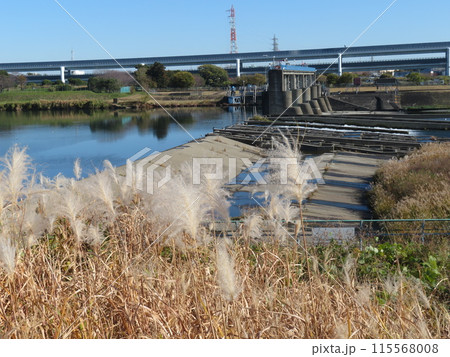 寒川取水堰　相模川　神奈川県 115568008