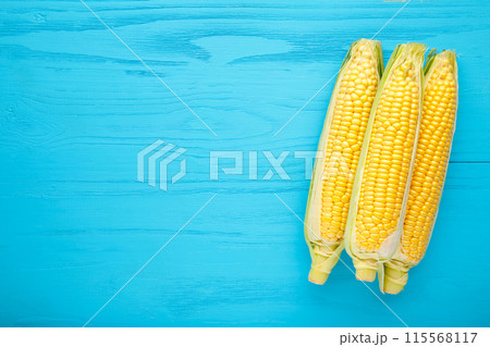 Three fresh corn on blue background with copy space 115568117