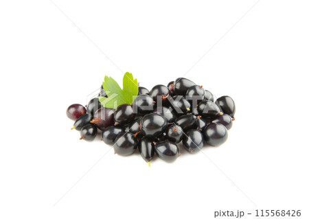 Black currant with green leaf isolated on white background 115568426