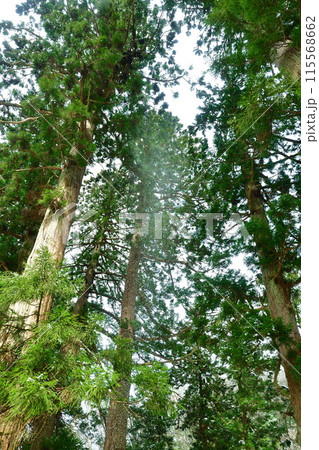 慈光寺　参道（新潟県） 115568662