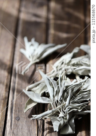 無農薬の枝付きホワイトセージ　スマッジングハーブ 115568670