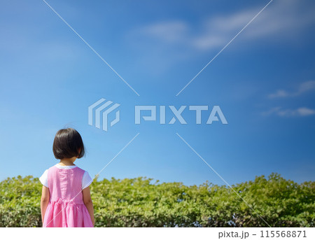 夏の空とピンクの服を着た女の子の後ろ姿 115568871