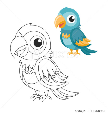 Cute children's parrot, outline drawing for coloring book and illustration. Cute cartoon macaw bird. Print for children 115568985