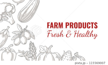 Fresh and healthy farm products, vector horizontal banner with minimalist frame of vegetables icons. Space for text, isolated background. Organic food, natural veggies. For poster, menu, flyer 115569007