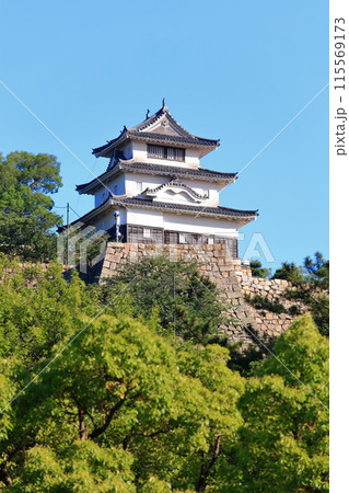 【香川県】北側内堀から見た五月晴れの丸亀城(現存天守と石垣の名城) 【香川県】北側内堀から見た五月晴れの丸亀城(現存天守と石垣の名城) 115569173