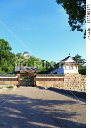 【香川県】北側内堀から見た五月晴れの丸亀城(現存天守と石垣の名城) 【香川県】北側内堀から見た五月晴れの丸亀城(現存天守と石垣の名城) 115569176