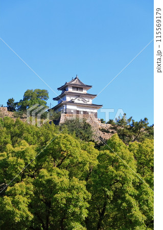 【香川県】北側内堀から見た五月晴れの丸亀城(現存天守と石垣の名城) 【香川県】北側内堀から見た五月晴れの丸亀城(現存天守と石垣の名城) 115569179