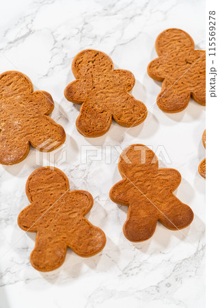 Gingerbread cookies await their second halves on a marble surface, each meticulously piped with buttercream to craft delightful sandwich treats. The precision of the piping adds a festive touch. 115569278