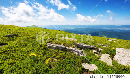 alpine meadows of carpathians. scenery with stones among green grass beneath a blue sky with clouds. summer vacations in ukrainian mountains 115569404