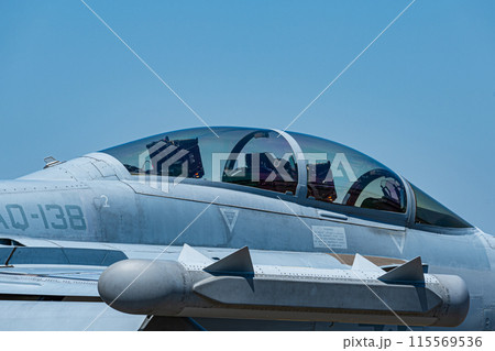 青空と戦闘機 F/A-18 スーパーホーネット 青空と戦闘機 F/A-18 スーパーホーネット 115569536