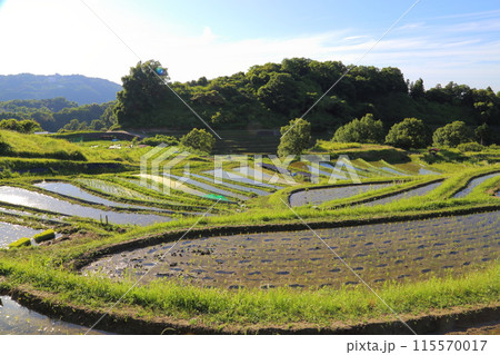 下赤阪の棚田(日本の棚田百選) / 大阪府千早赤阪村 下赤阪の棚田(日本の棚田百選) / 大阪府千早赤阪村 115570017