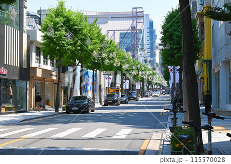 新沙洞 街路樹通り(カロスキル)【ソウル/江南区】 新沙洞 街路樹通り(カロスキル)【ソウル/江南区】 115570028