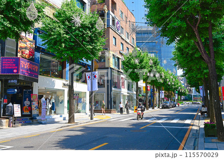 新沙洞 街路樹通り（カロスキル）【ソウル/江南区】 115570029