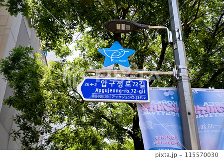 韓流スター通りの看板と狎鴎亭路の道路標示【ソウル/江南区】 韓流スター通りの看板と狎鴎亭路の道路標示【ソウル/江南区】 115570030