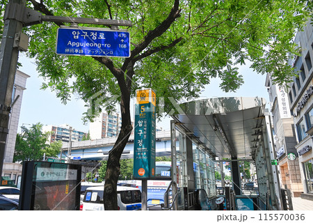 地下鉄　狎鷗亭(アックジョン)駅出入口【ソウル/江南区】 115570036