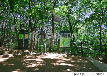 峨嵯山(アチャサン)登山道の案内表示板【韓国/ソウル,九里市】 峨嵯山(アチャサン)登山道の案内表示板【韓国/ソウル,九里市】 115570044