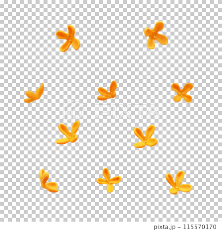 Sweet osmanthus illustration realistic white background 115570170