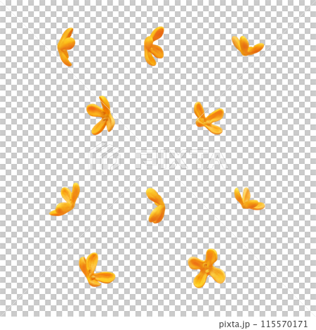 キンモクセイ イラスト リアル 白バック 115570171