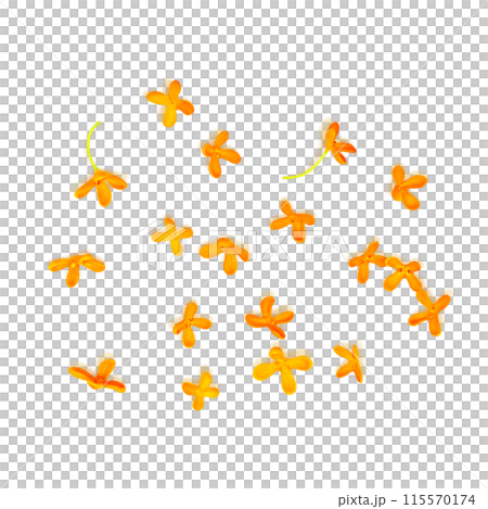 キンモクセイ イラスト リアル 白バック 115570174