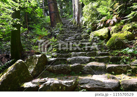 世界遺産 熊野那智大社への鎌倉積み石段 裏参道 世界遺産 熊野那智大社への鎌倉積み石段 裏参道 115570529