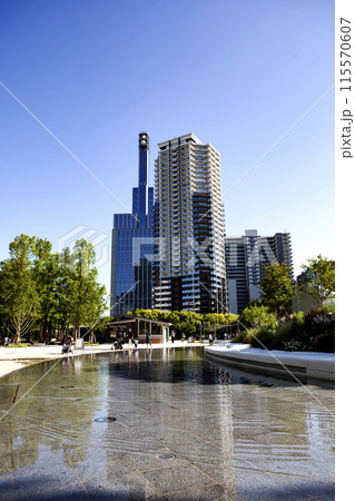 神戸の東遊園地から見た高層ビル 神戸の東遊園地から見た高層ビル 115570607