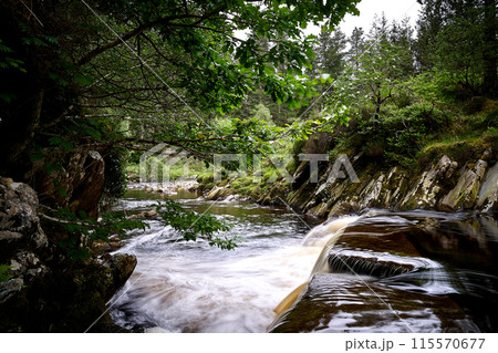 Ireland highland river, waterfall, tree Ireland highland river, waterfall, tree 115570677