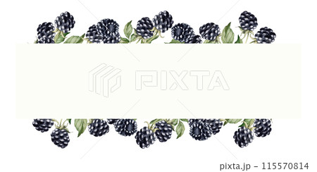 Blackberry with berries and leaves. Horizontal frame with summer berry fruits. Watercolor isolated illustration for table textile, porcelain tableware and delicious prints, food packages, label, logo 115570814