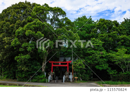 菅原神社(水流天満宮)宮崎県えびの市の田んぼの中に鳥居がある神社 菅原神社(水流天満宮)宮崎県えびの市の田んぼの中に鳥居がある神社 115570824