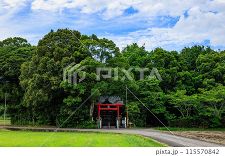 菅原神社（水流天満宮）宮崎県えびの市の田んぼの中に鳥居がある神社 115570842