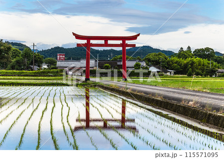 水田に映る大鳥居　菅原神社（水流天満宮）　宮崎県えびの市水流 115571095
