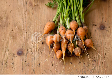 Young juicy round carrot with green leaves 115572877
