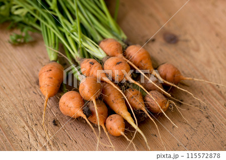 Young juicy round carrot with green leaves 115572878