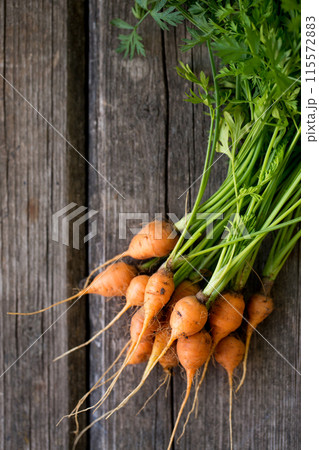 Young juicy round carrot with green leaves 115572883