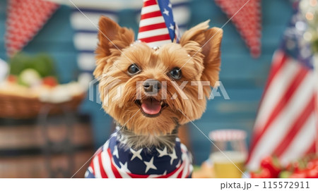 A small Yorkshire Terrier dog is dressed in a patriotic costume for the Fourth of July. A small Yorkshire Terrier dog is dressed in a patriotic costume for the Fourth of July. 115572911